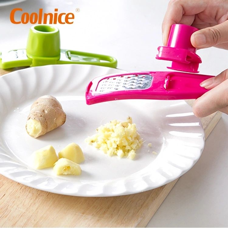 Mini Ginger/Garlic Grinder