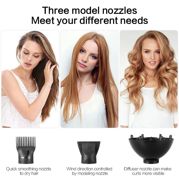 Professional Fast Dry Low Noise Blow Dryer