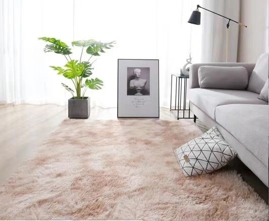 Assorted Indoor Area Rugs 5.25 X 7.55 FT